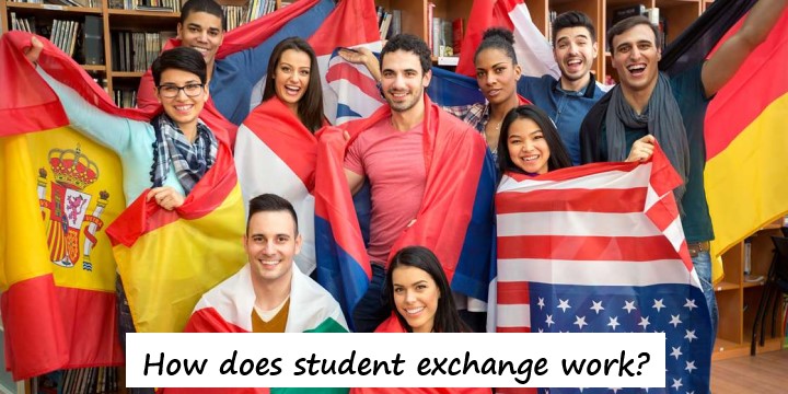 How does student exchange work?